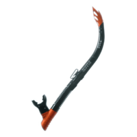 Ocean Dynamics Viz Snorkel - Dive store Online