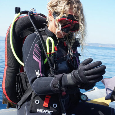 SEAC Modular BCD - Image 2